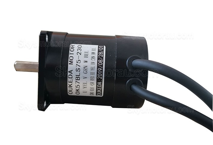 24V Brushless DC Motor BLDC Motor OK57BLS75-230 3 Phase 4 Poles 3000RPM 22Ncm 57x57mm